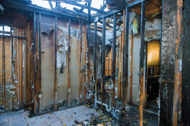 Professional Fire Damage Repair technician working in Fort Myer, VA